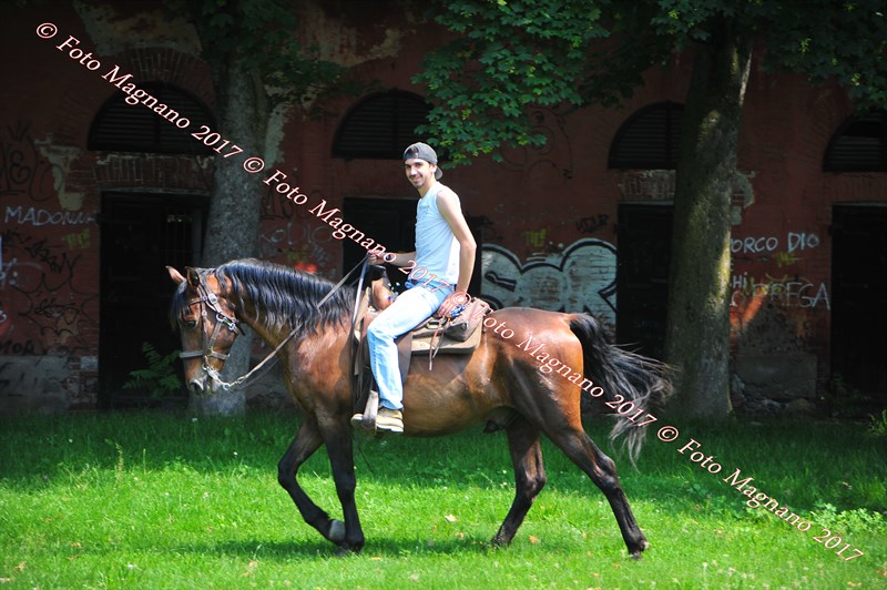 DSC_0943.JPG